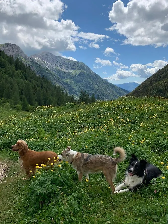 La Mansarda Di Casa Vacanze La Vite Bordogna Italie