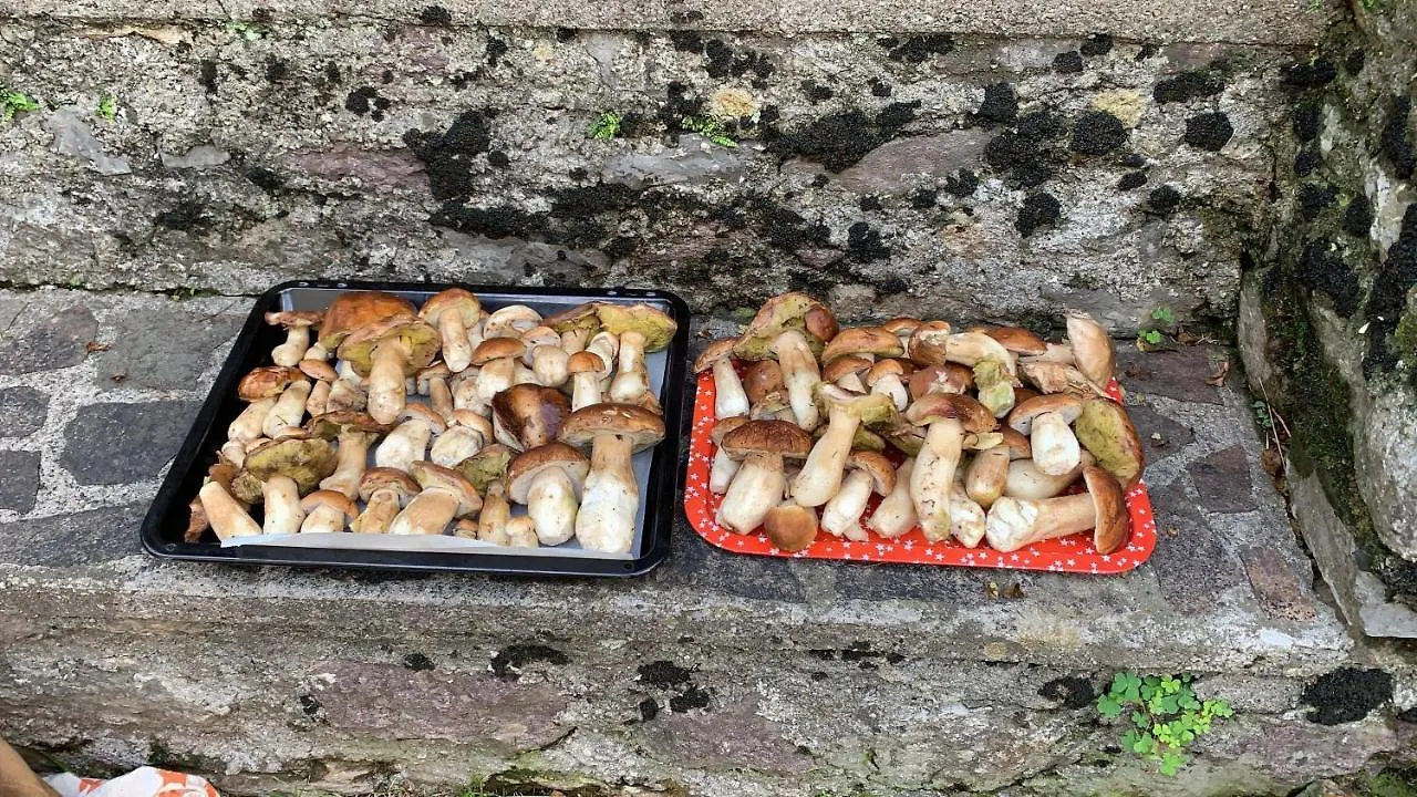 La Mansarda Di Casa Vacanze La Vite Bordogna 0*,  Italie